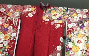 縫う(sew)とベリーダンス(belly)のお教室 『SoBerry』