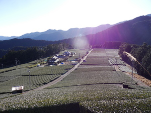 久野脇の集落散策。絶景ポイントにご案内
