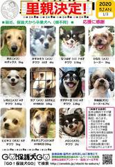 11月以降、こんなにたくさんの子達が幸せになりました