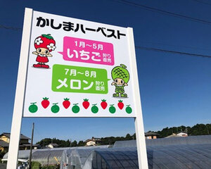 この看板が目印！