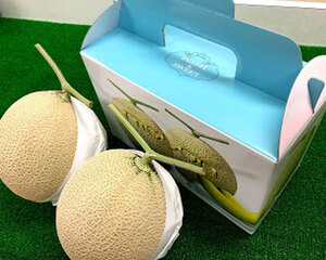 お土産用メロン