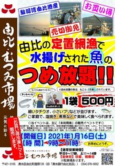 魚詰め放題（由比・むつみ市場）