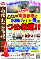 魚詰め放題（由比・むつみ市場）