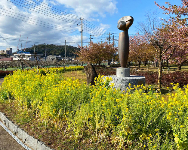 狩野川リバーサイドパークの桜 伊豆の国市 アットエス