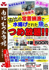 魚詰め放題（由比・むつみ市場）
