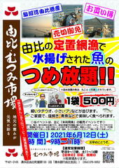 魚詰め放題（由比・むつみ市場）