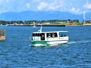 小さくてかわいい水上バス。