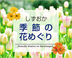 季節の花めぐり