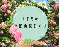 今行きたい！季節の花スポット