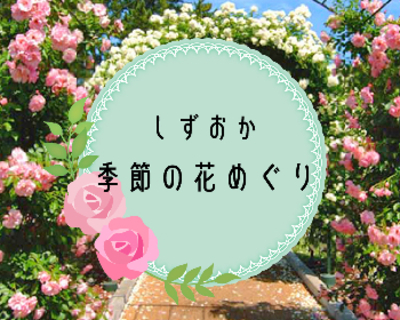 今行きたい！季節の花スポット