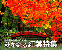 今見頃の紅葉名所やイベントをピックアップ！