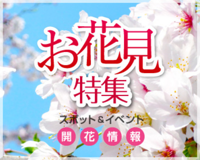 静岡県内の桜開花状況を更新中！
