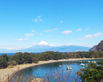御浜岬公園