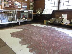 伊豆半島ジオパークビジターセンター