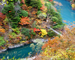 寸又峡周辺の紅葉