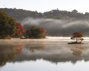 秋の一碧湖