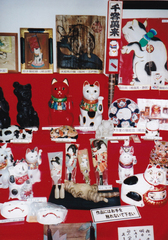 猫展