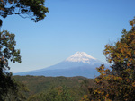 もみじ林　富士見台から望む富士山