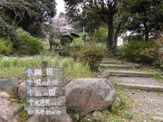 丸山公園