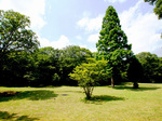  丸火自然公園／グリーンキャンプ場