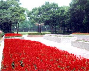 新居文化公園