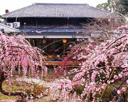 大箸家 花咲乃庄