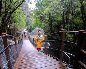河津踊子滝見橋