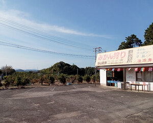 全景