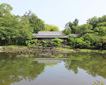 小浜池