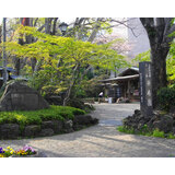 三島市立公園楽寿園