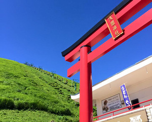 リフト乗車口からの山頂風景
