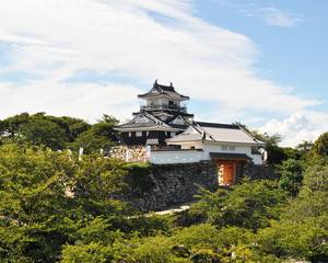 写真提供：浜松市