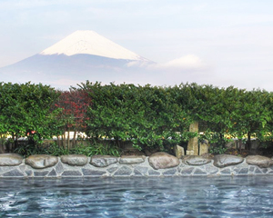 富士の湯からの富士山