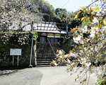 最福寺