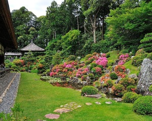 龍潭寺庭園（春）