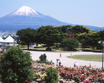 富士市中央公園