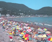 宇佐美海水浴場