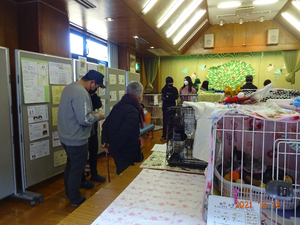 保護猫譲渡会