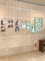 フォトコンテスト展示