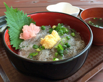 漁師のどんぶり屋
