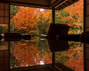 紅葉