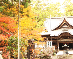 紅葉と半僧坊真殿