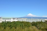 静岡県埋蔵文化財センター