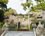 高松神社／御前崎市観光協会提供