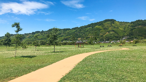 多目的広場