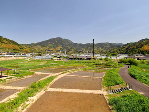 体験農園