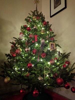 クリスマスに「フォトツリー」や「生木のツリー」はいかが?