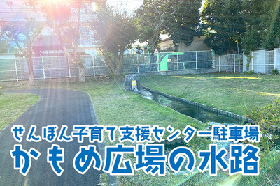 【ひゃっこい！湧水】せんぼん子育て支援センターかもめの湧水