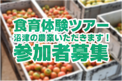 沼津を喰らえ！沼津を学べ！食育体験ツアー「ぬまづの農業いただきます！」参加者募集中！