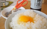 浜松で鶉（うずら）の卵割り体験！子どもと食べたい「はちまん」の楽しいランチ